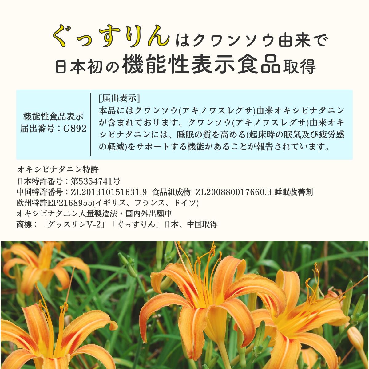 ぐっすりん 20日分